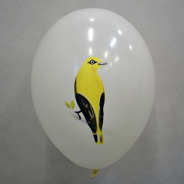 biały balon lateksowy z nadrukiem CMYK